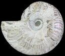 Silver Iridescent Ammonite - Madagascar #61499-1
